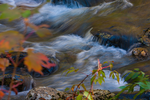 Autumn Creek