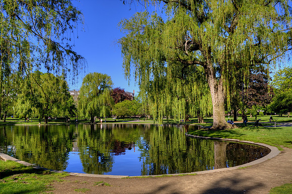 Boston Public Garden