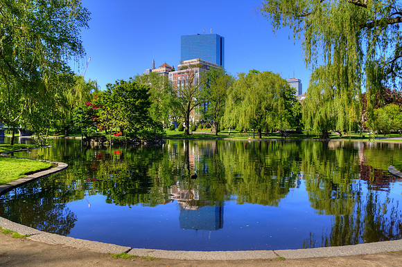 Boston Public Garden