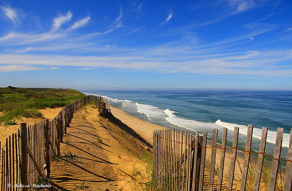 Cape Cod