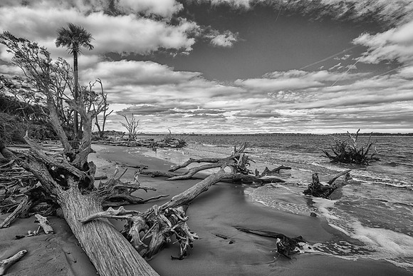 The Bluffs