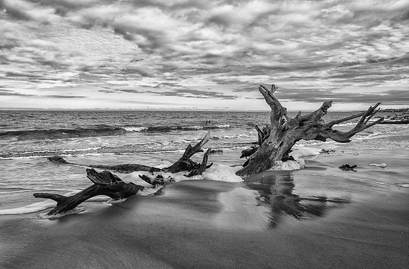 Boneyard Reflection