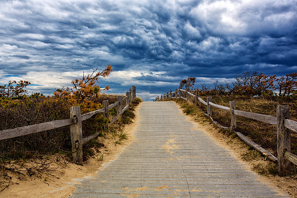 Wicked Cape Cod