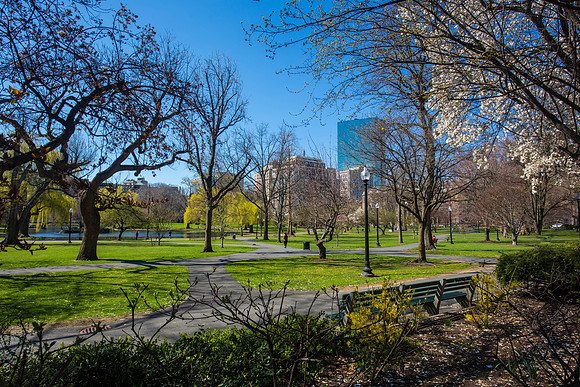Boston Public Gardens