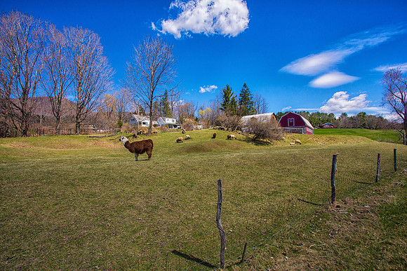 Country Road