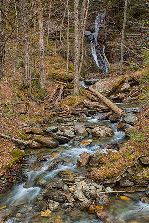 Graceful Streams