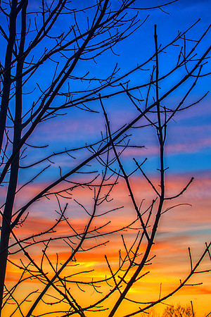 Multi-color Sunset