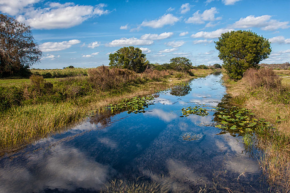 Wetlands