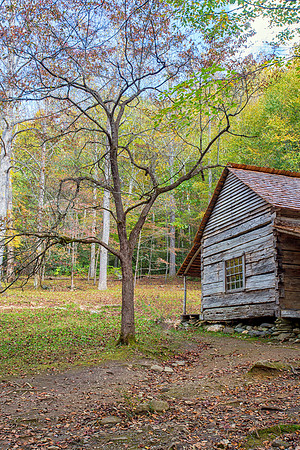 Smoky Mountain Cabin