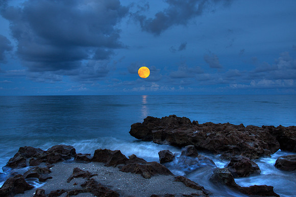 Harvest Moon