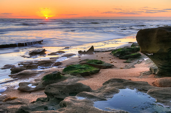 Washington Oaks