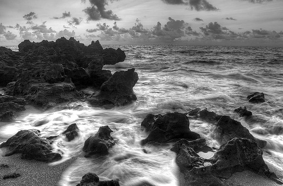 Coral Cove Park
