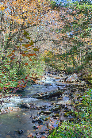 Smoky Mountain Creek