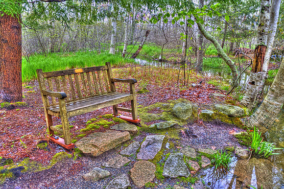 Lonely Bench