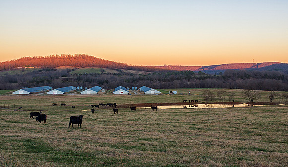 Arkansas Countryside