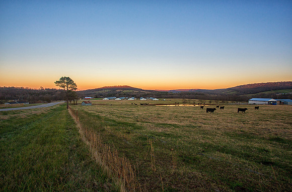 Arkansas Countryside