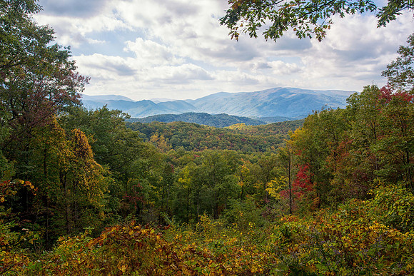 Autumn Valley