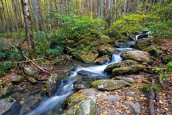 Cascading Waters