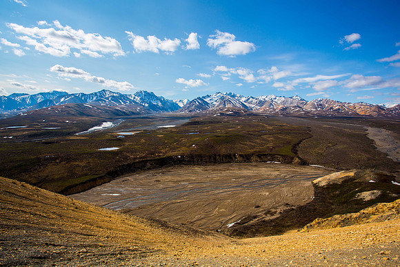 Denali Desert