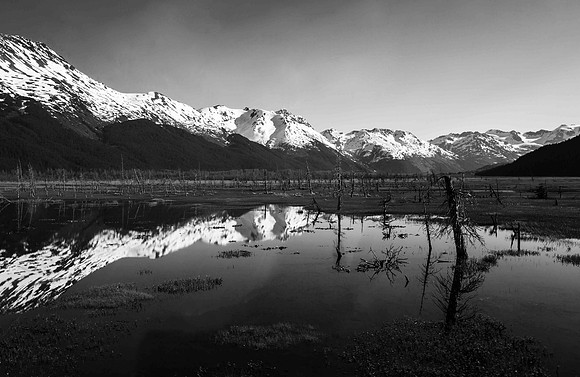 Black and White Daytime Reflection