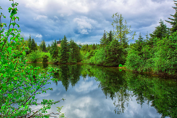 Reflection Trees