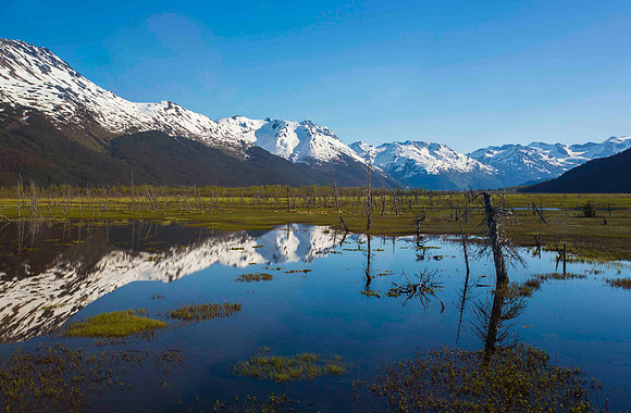 Daytime Reflection