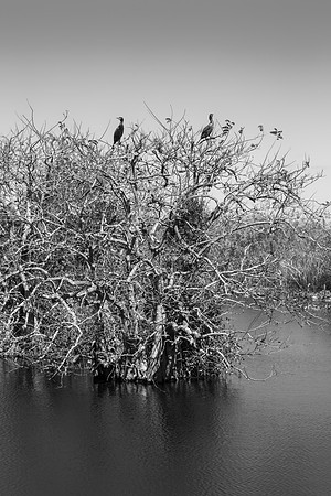 Everglades National Park