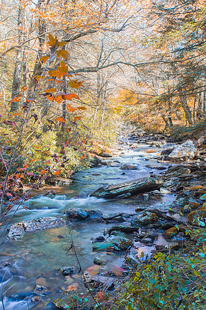 Autumn Stream