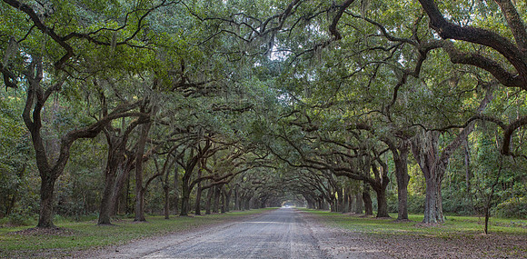 Wormsloe
