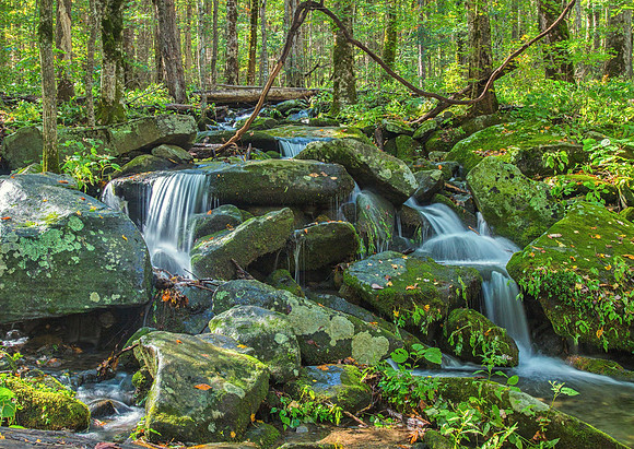 Silky Waters