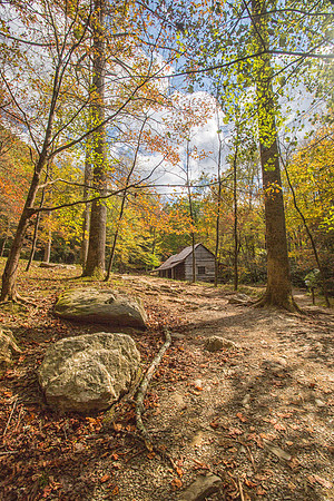 Cabin in the Woods