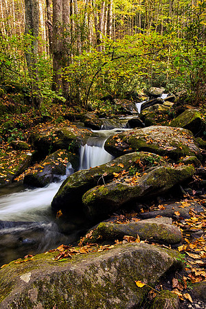 Cascading Falls with autumn leaves