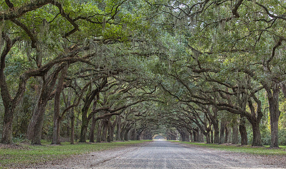 Road less traveled