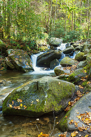 Mountain Stream