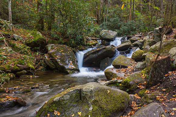 Roaring Brook
