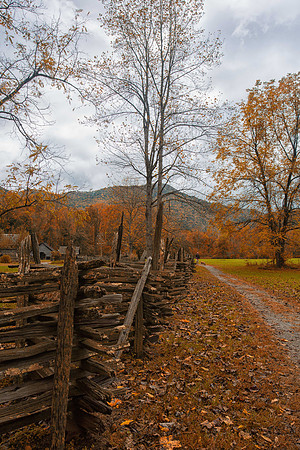 Autumn Walk