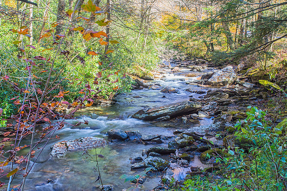 Large Creek