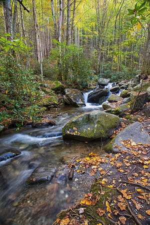 Cascade with Autumn Color